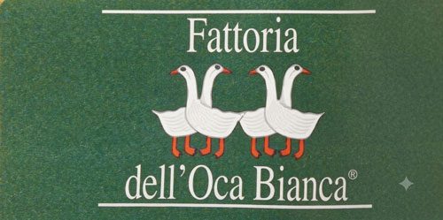 logo-oca-bianca